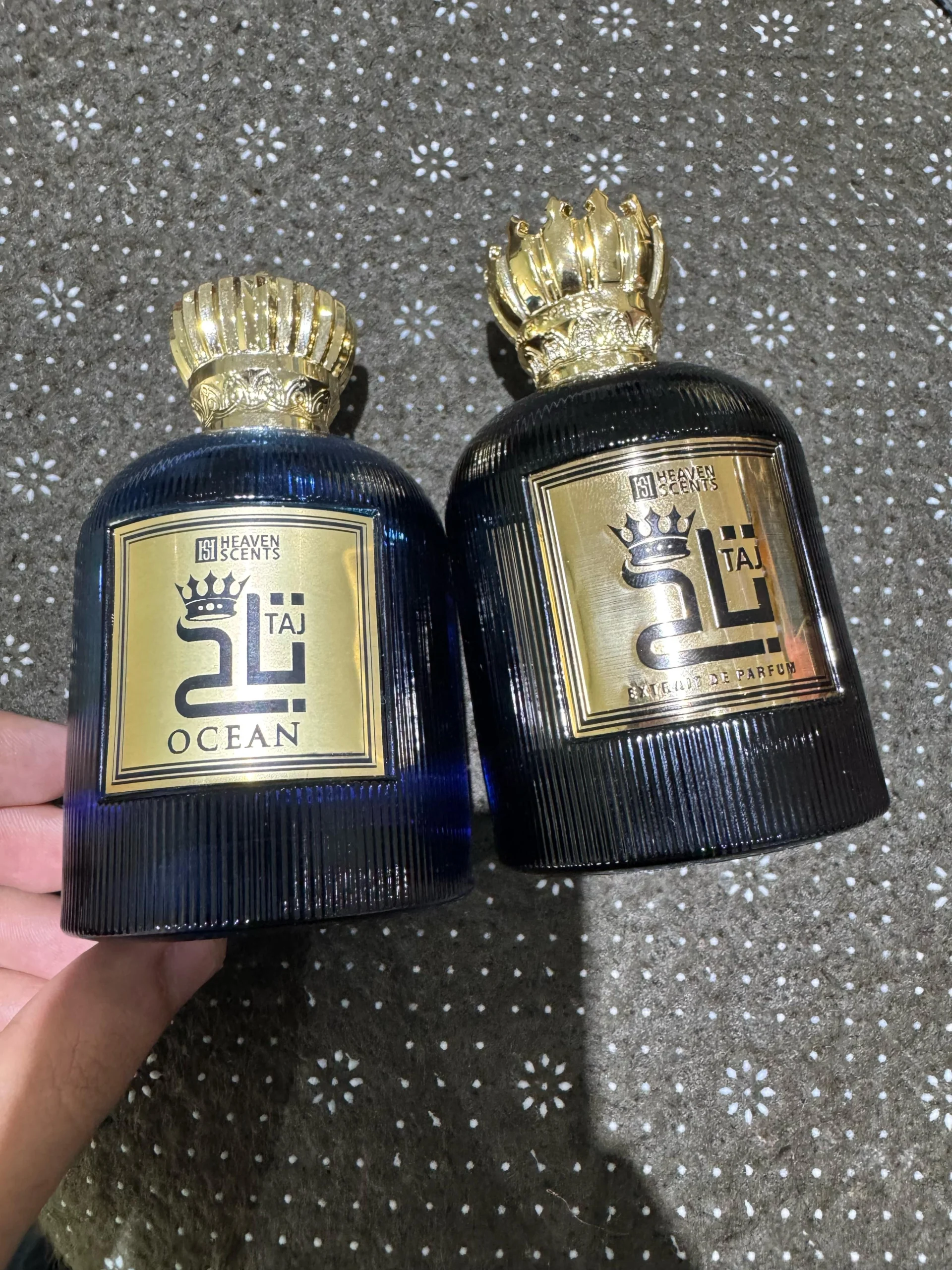 فهد الحربي